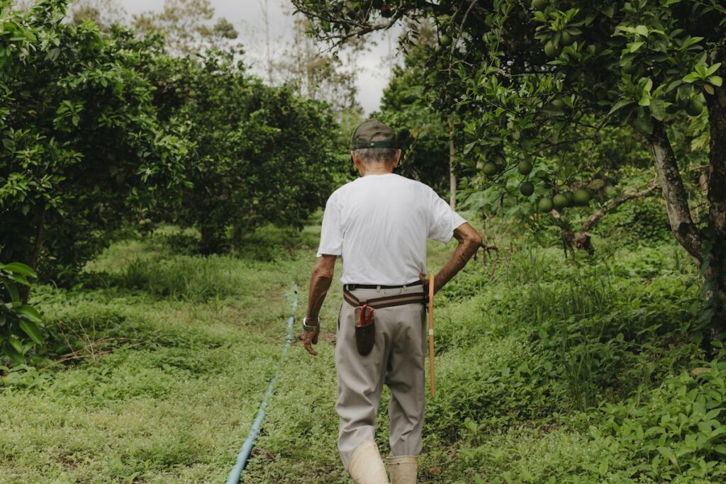Quais documentos podem comprovar a atividade rural?
